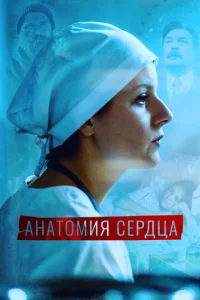 Анатомия сердца онлайн